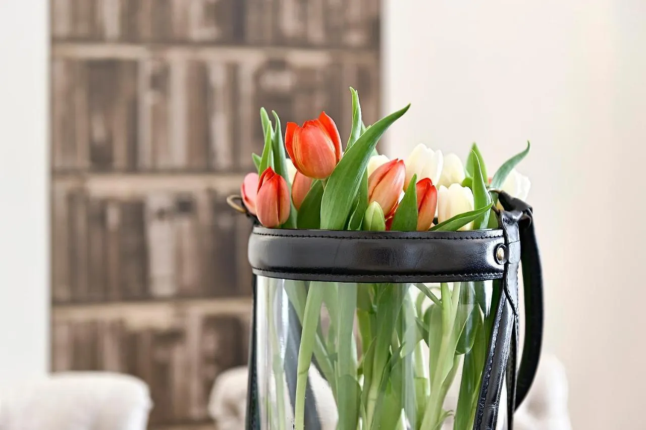 Apartment 6 Rooms Vienna Austria